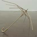 Suit Carcass